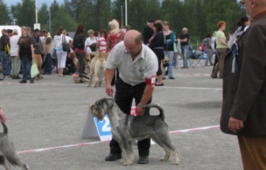 IIsalmen nyttely