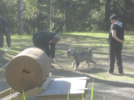 Eetu luonnetestiss�